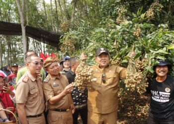 Kunjungan Kerja ke Kabupaten Lampung Timur, Gubernur Arinal Panen Kelengkeng Itoh, Temui Petani dan Peternak serta Serahkan Sejumlah Bantuan