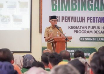 Pemprov Lampung Tingkatkan Produktivitas Pertanian Lewat Bimtek Pupuk Hayati Cair